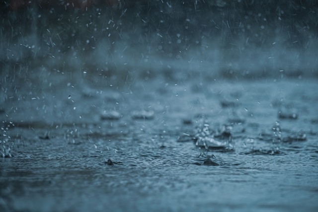 Ploaie - Foto Abhishek Tewari Unsplash Ploaie - Foto Abhishek Tewari Unsplash
