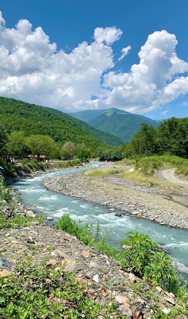 Rau de munte - Foto Olga Pro Unsplash