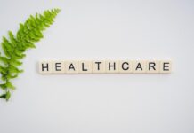 One Health continuă până în 2029: sănătatea oamenilor, animalelor și mediului rămâne într-un singur plan global Sanatate - Foto Total Shape Unsplash