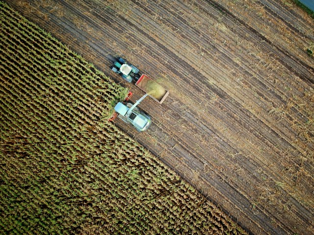Agricultură - Foto „no one cares” Unsplash