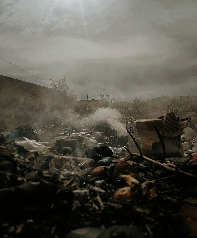 Arderile ilegale de la Sintești continuă - Foto Lennox Chitando Unsplash