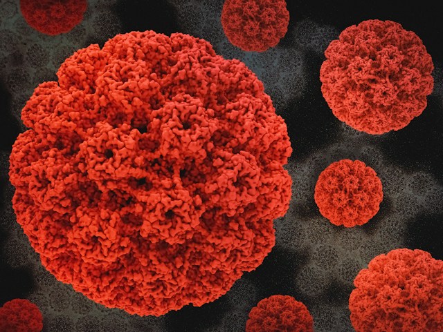 Chlamydia poate fi detectata in canalizare - Foto Institutul Național de Alergii și Boli Infecțioase Unsplash