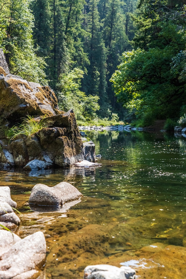Drepturi juridice rauri - Foto Taylor R Unsplash