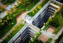 Acoperișuri verzi obligatorii din 2027: ce schimbă noul Cod al Urbanismului pentru clădirile din România