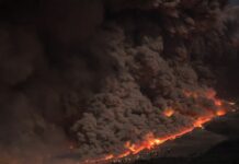PM2,5 din incendii poate fi mai periculos decât aceeași cantitate de particule din alte surse