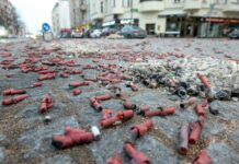 Plumbul din curte poate intra în casă pe încălțăminte și ajunge în praful de pe podea