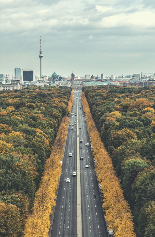 Copaci in Berlin - Arborii Berlinului 900.000 pe o hartă digitală - Foto Moises Gonzalez Unsplash