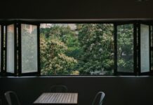 Vedere la verde și sănătate mintală: nu contează doar ce vezi pe fereastră, ci și cât de departe