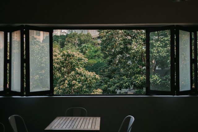 Fereastra deschisa - Vedere la verde și sănătate mintală nu contează doar ce vezi pe fereastră, ci și cât de departe - Foto Ryan Kwok Unsplash