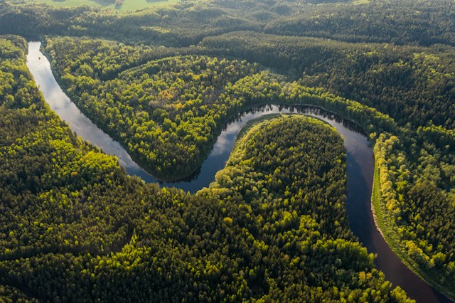 Fluviul Amzon Venitul de bază pentru protejarea pădurilor experiment în Amazon - Foto Ivars Utināns Unsplash