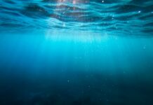 Zăpadă marină și carbon oceanic: AI încearcă să afle ce conține fiecare particulă care se scufundă