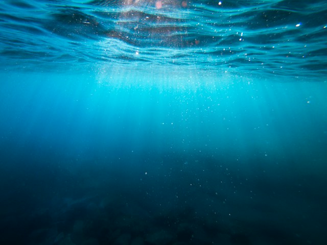 Ocean - Zăpadă marină și carbon oceanic AI încearcă să afle ce conține fiecare particulă care se scufundă - Foto Cristian Palmer Unsplash
