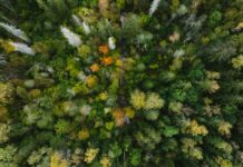 Conservarea biodiversității cu comunitățile locale: ce au în comun peste 70 de cazuri de succes