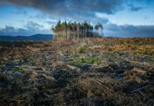 Raport IPCC 2028: disputa care poate lăsa negocierile climatice fără evaluarea completă